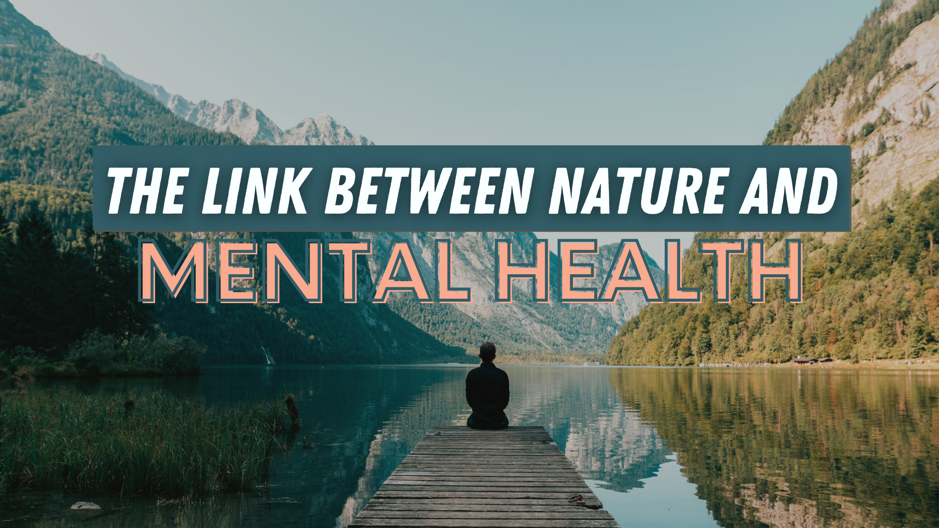 the link between nature and mental health